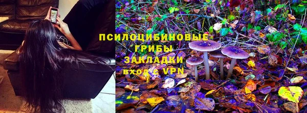 стаф Абинск
