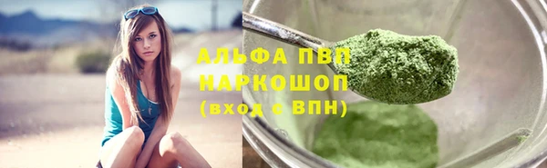 стаф Абинск