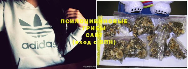 соль ск Абдулино